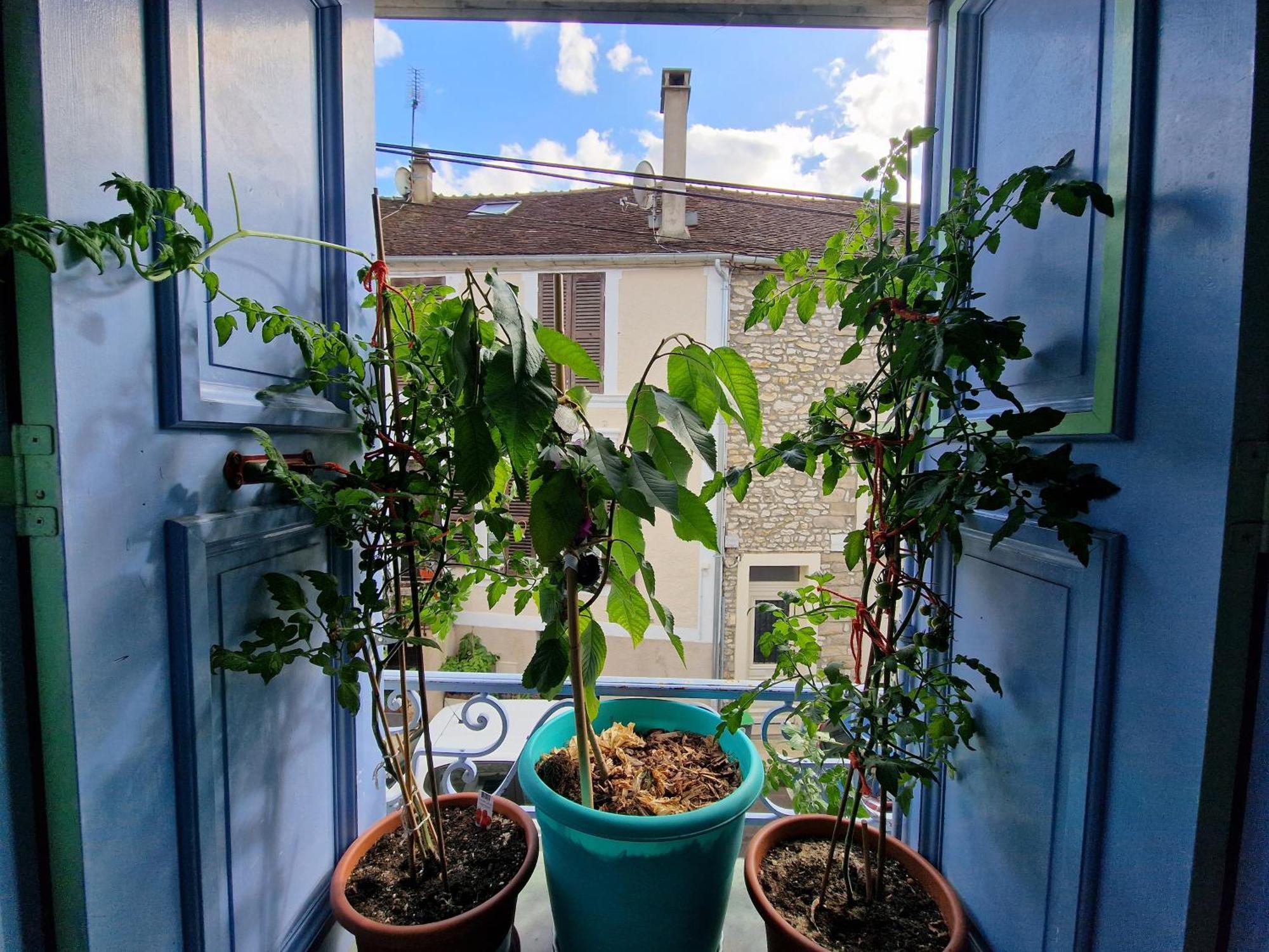 Appartement Chez Mamichou à Moret-sur-Loing Extérieur photo